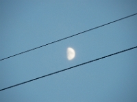 A moon between the lines