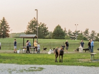 Madison-Heights-Red-Oaks-Dog-Park